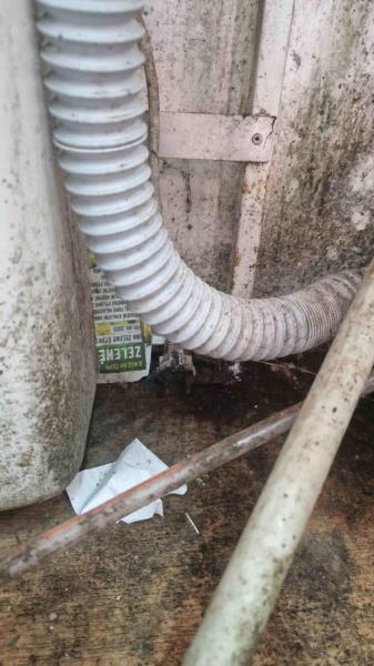 Ilustrační fotografie č. 9