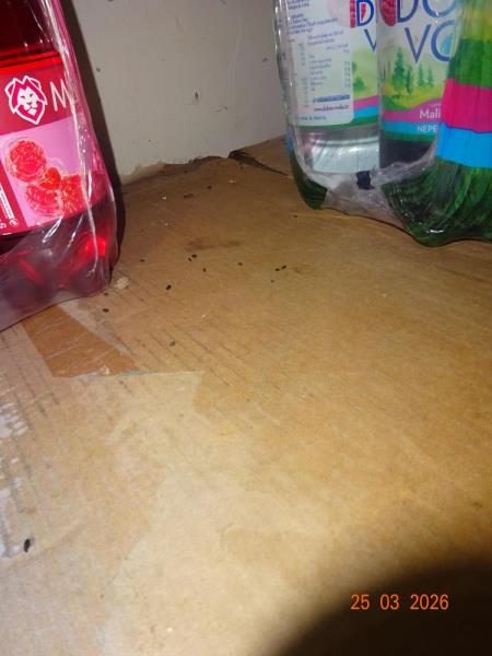 Ilustrační fotografie č. 2