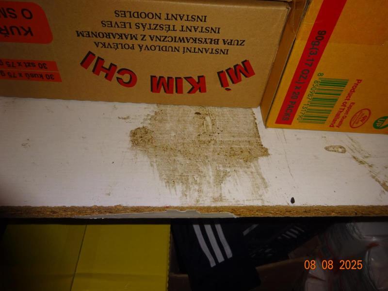 Ilustrační fotografie č. 26