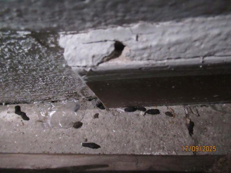 Ilustrační fotografie č. 8