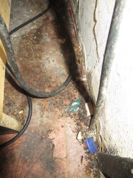 Ilustrační fotografie č. 9