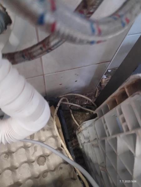 Ilustrační fotografie č. 3