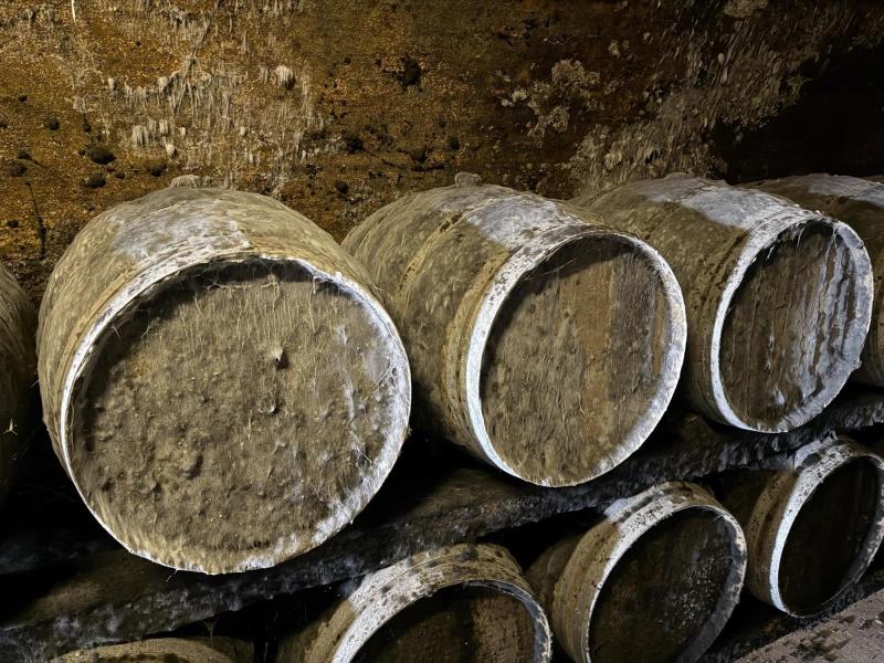 Ilustrační fotografie č. 5