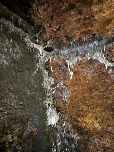 Ilustrační fotografie č. 21