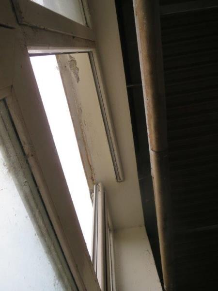 Ilustrační fotografie č. 14