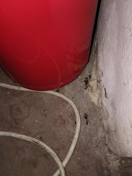 Ilustrační fotografie č. 12