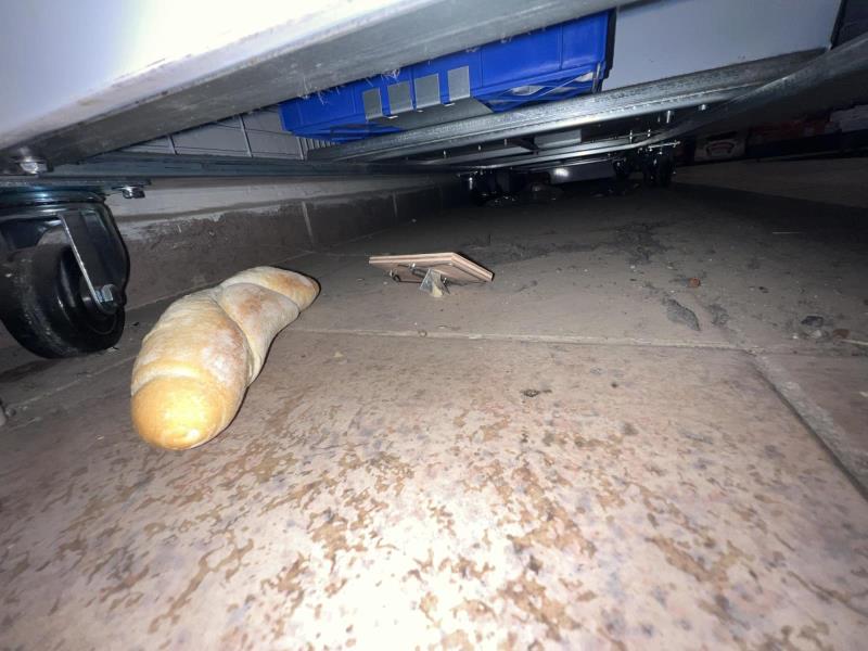 Ilustrační fotografie č. 4