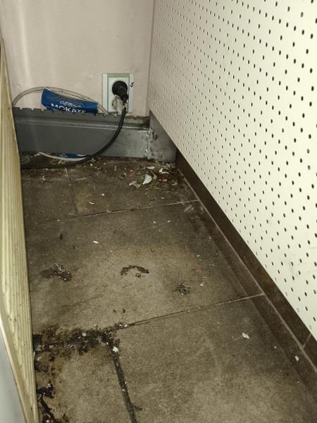 Ilustrační fotografie č. 11