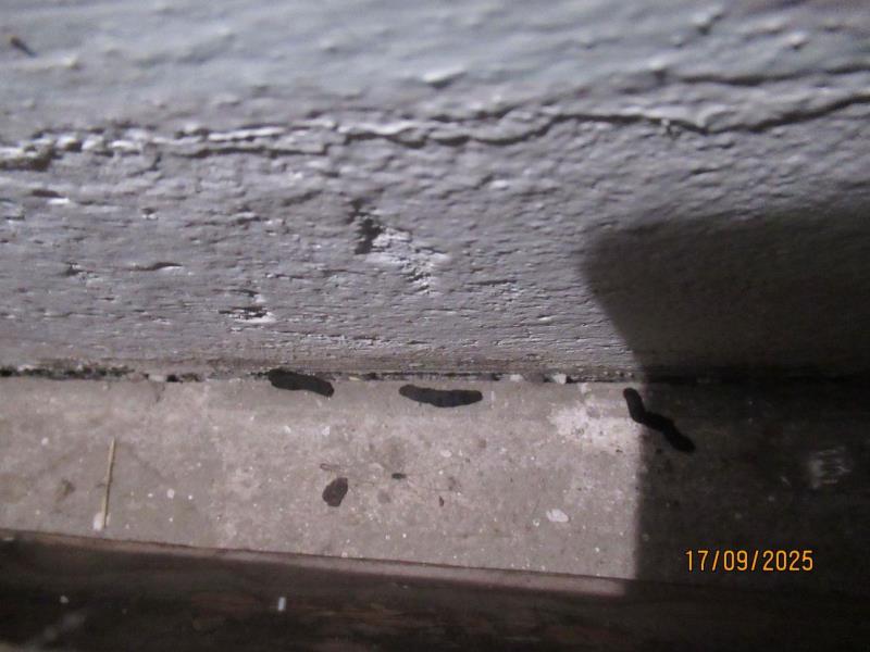 Ilustrační fotografie č. 9