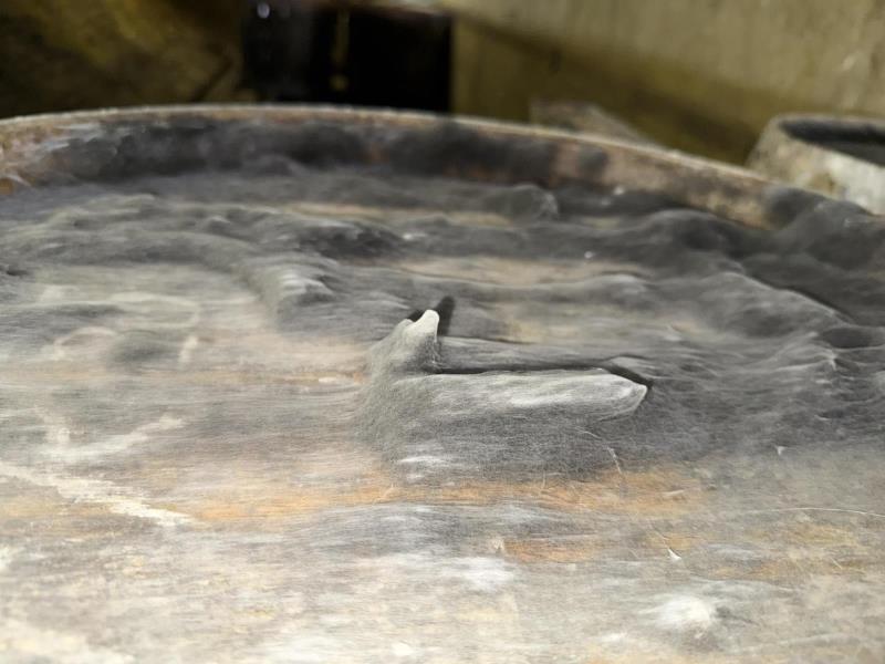 Ilustrační fotografie č. 9