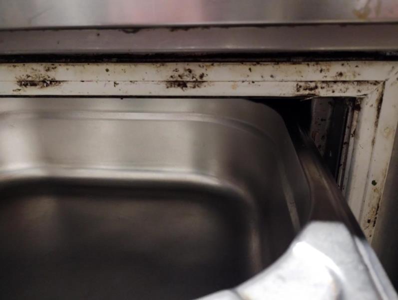 Ilustrační fotografie č. 4