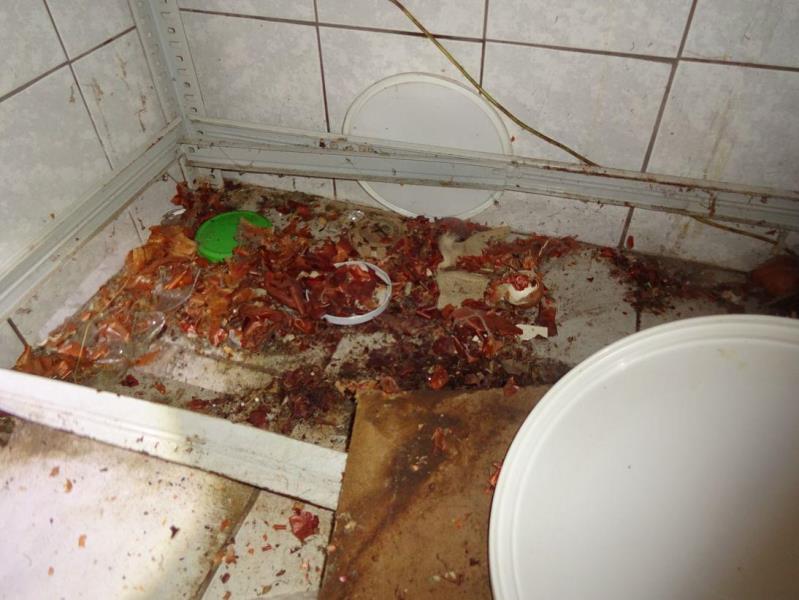 Ilustrační fotografie č. 9