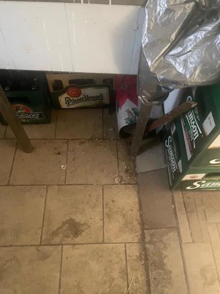 Ilustrační fotografie č. 13