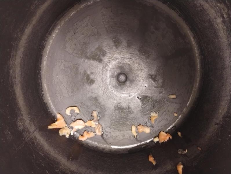 Ilustrační fotografie č. 12