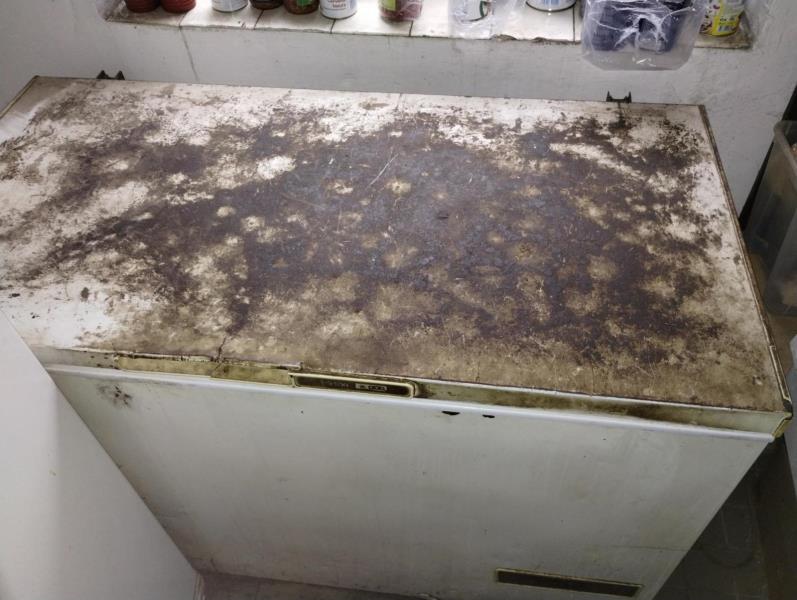 Ilustrační fotografie č. 12