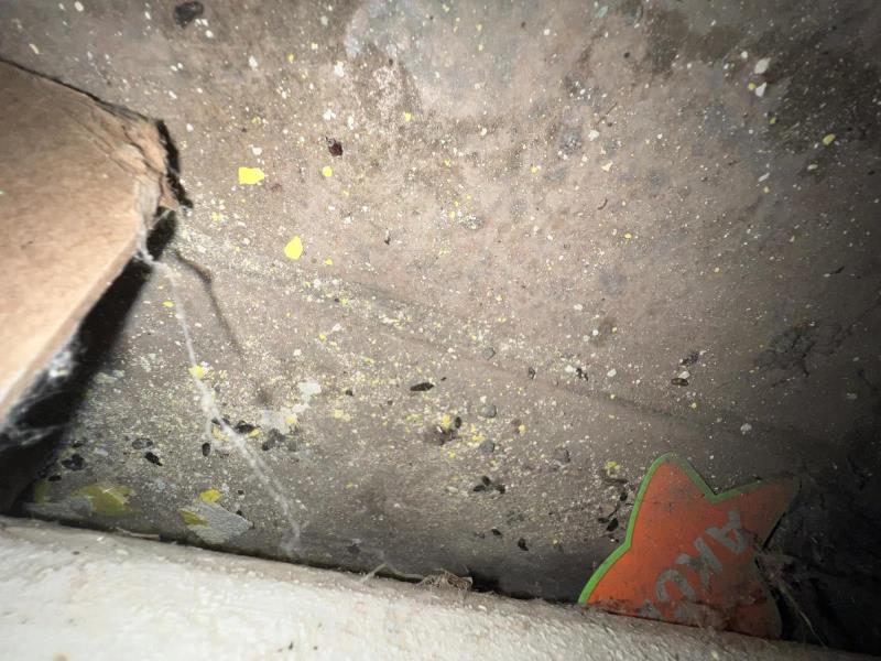 Ilustrační fotografie č. 5