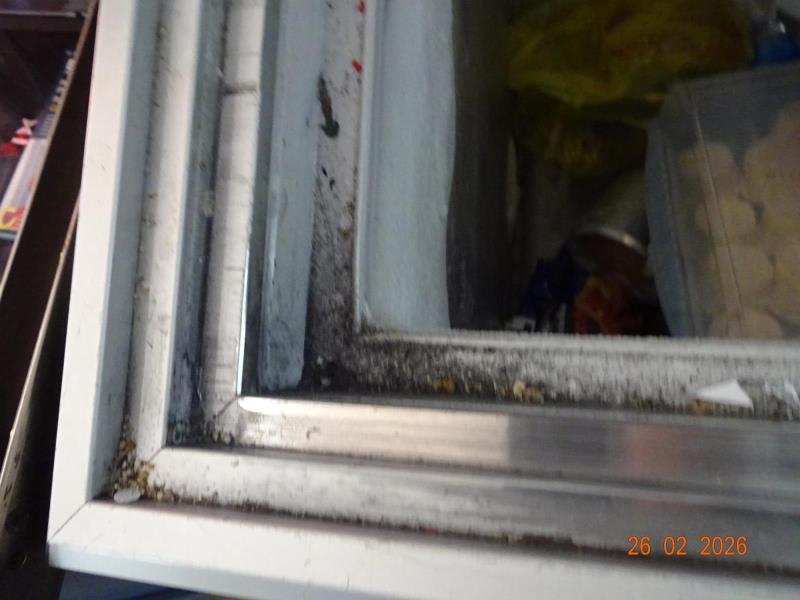 Ilustrační fotografie č. 9