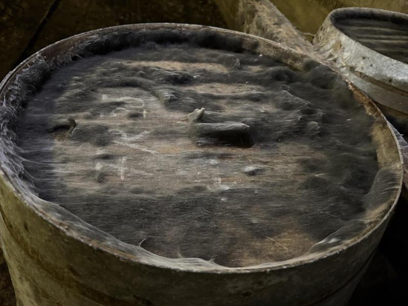 Ilustrační fotografie č. 7