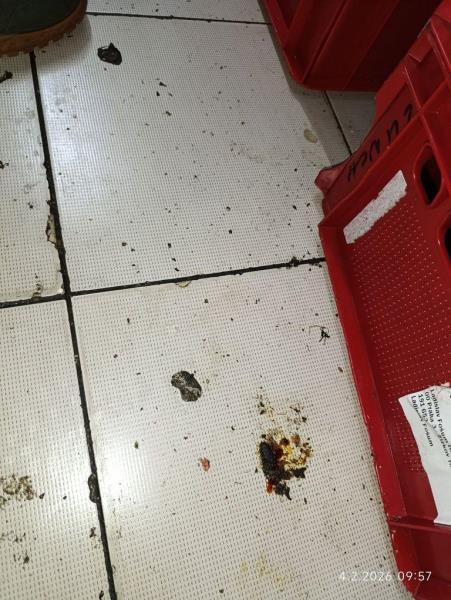 Ilustrační fotografie č. 3