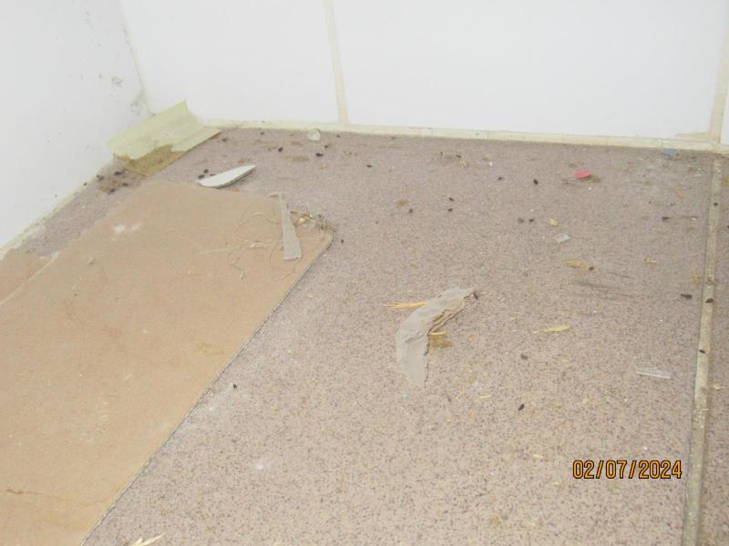 Illustrative photo no. 9
