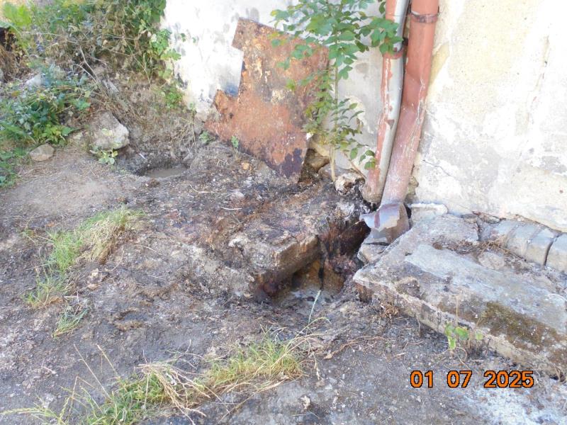 Illustrative photo no. 15