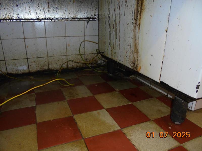 Illustrative photo no. 9