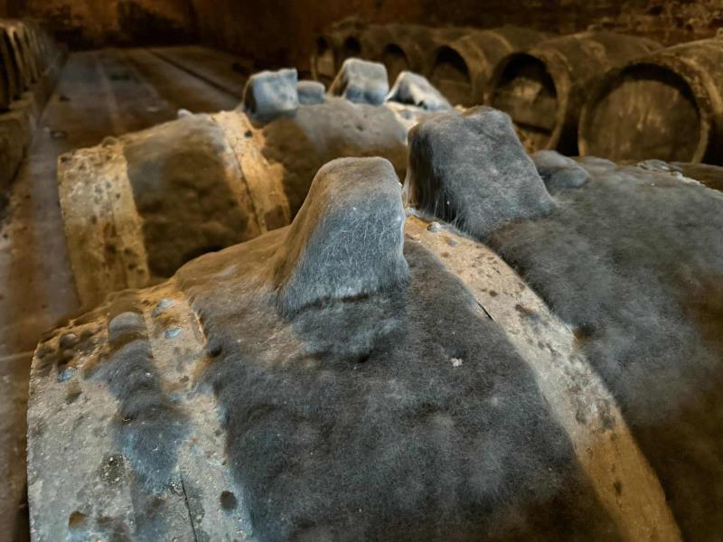 Ilustrační fotografie č. 16