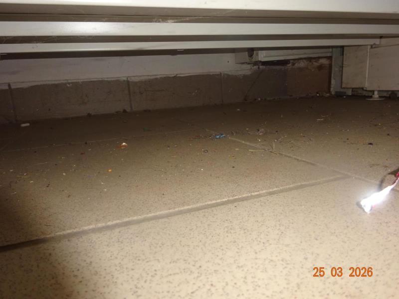 Ilustrační fotografie č. 9