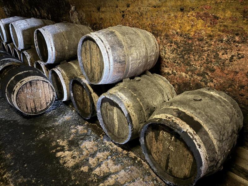 Ilustrační fotografie č. 6