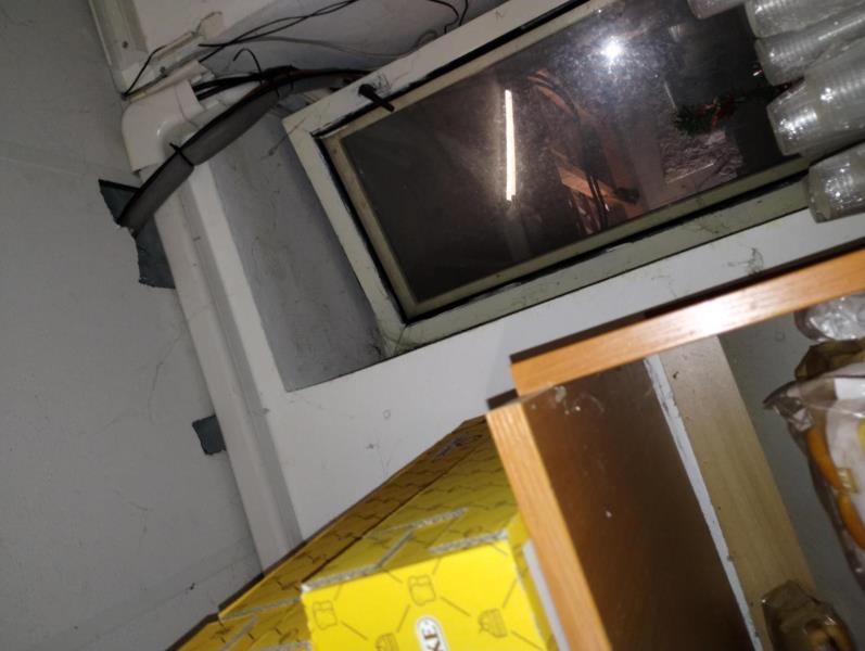 Ilustrační fotografie č. 14