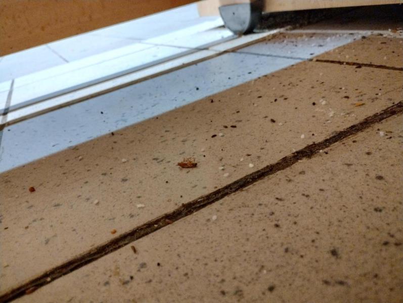 Ilustrační fotografie č. 10