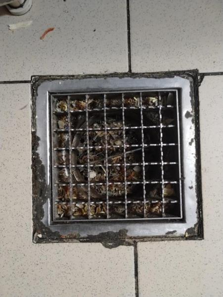 Ilustrační fotografie č. 6