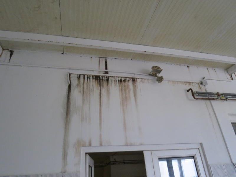 Ilustrační fotografie č. 3