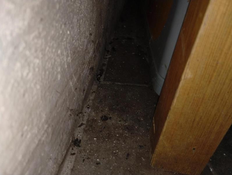 Ilustrační fotografie č. 18