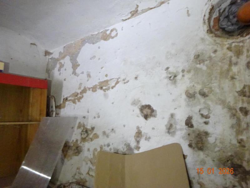 Ilustrační fotografie č. 7