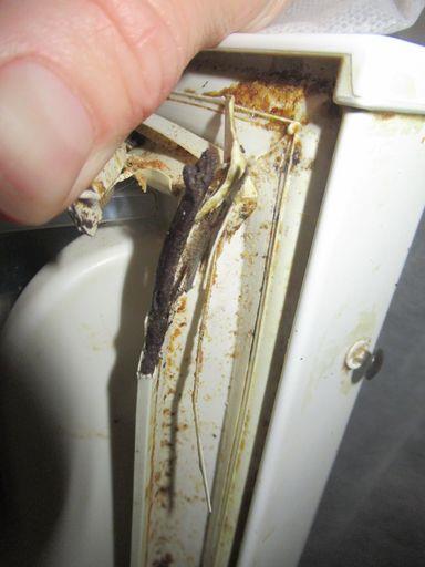 Ilustrační fotografie č. 11