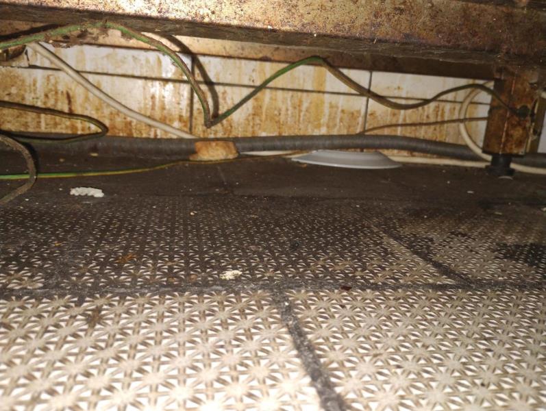 Ilustrační fotografie č. 4