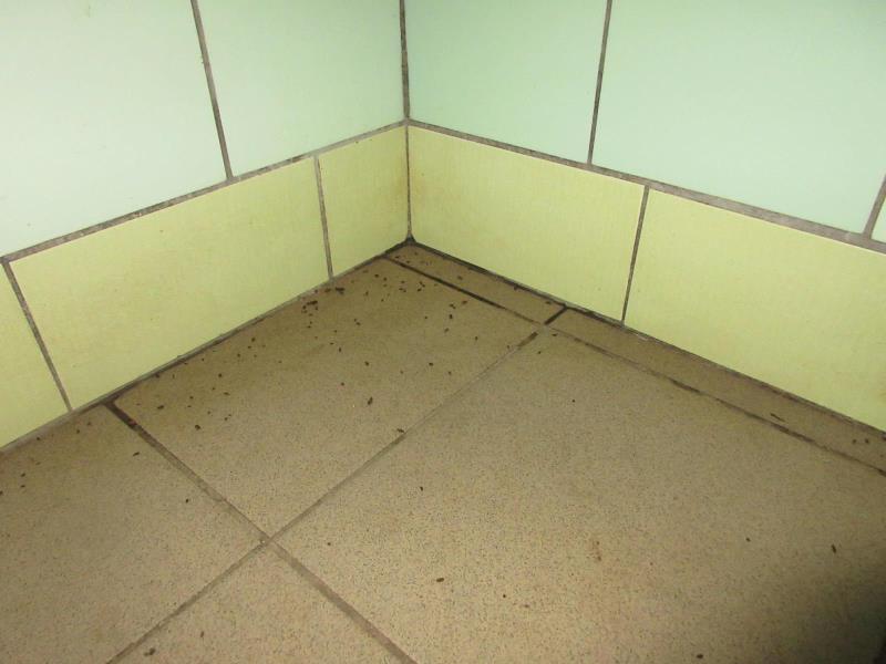 Illustrative photo no. 9