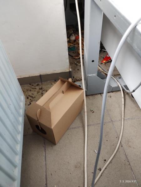 Ilustrační fotografie č. 11