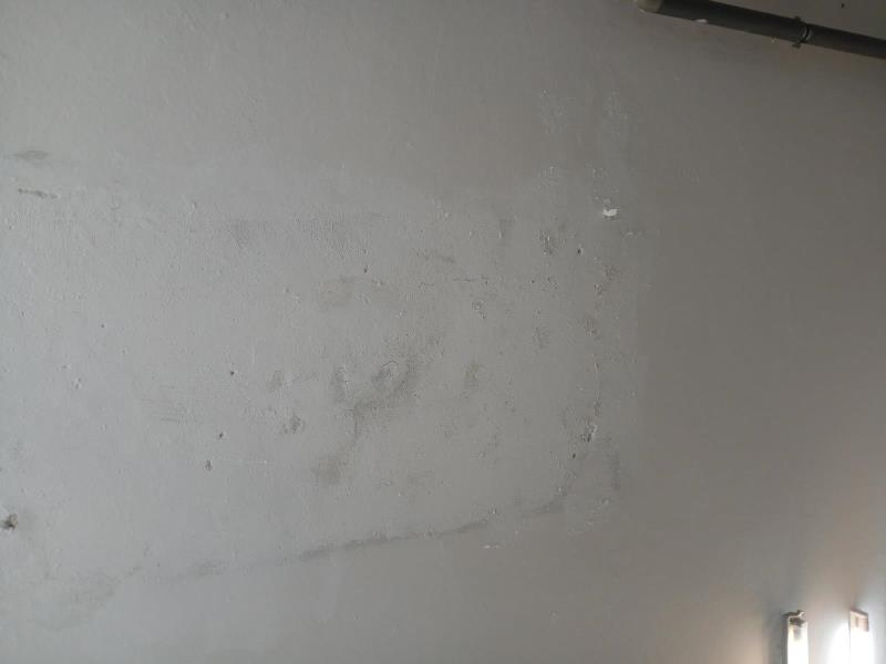 Illustrative photo no. 6