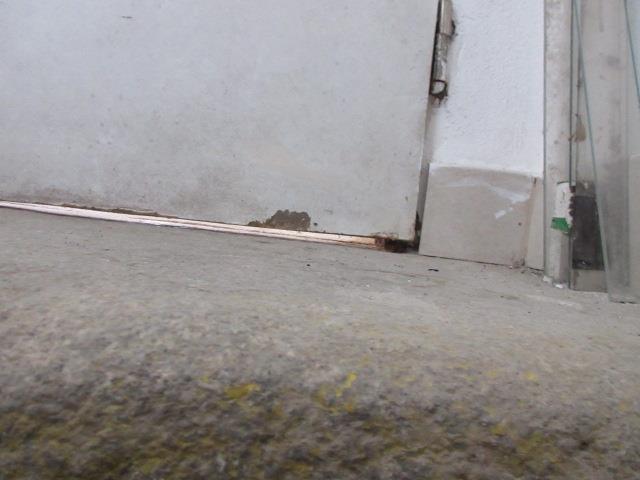 Ilustrační fotografie č. 5