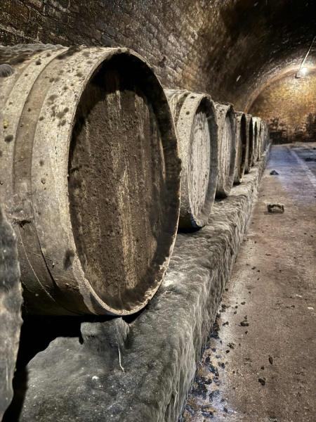 Ilustrační fotografie č. 5