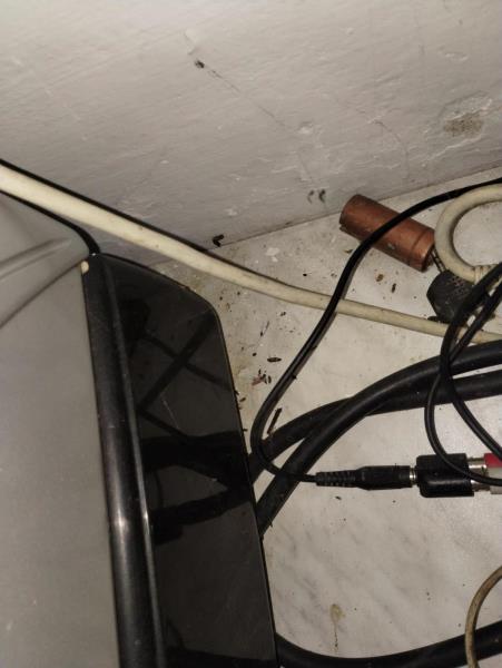 Ilustrační fotografie č. 14