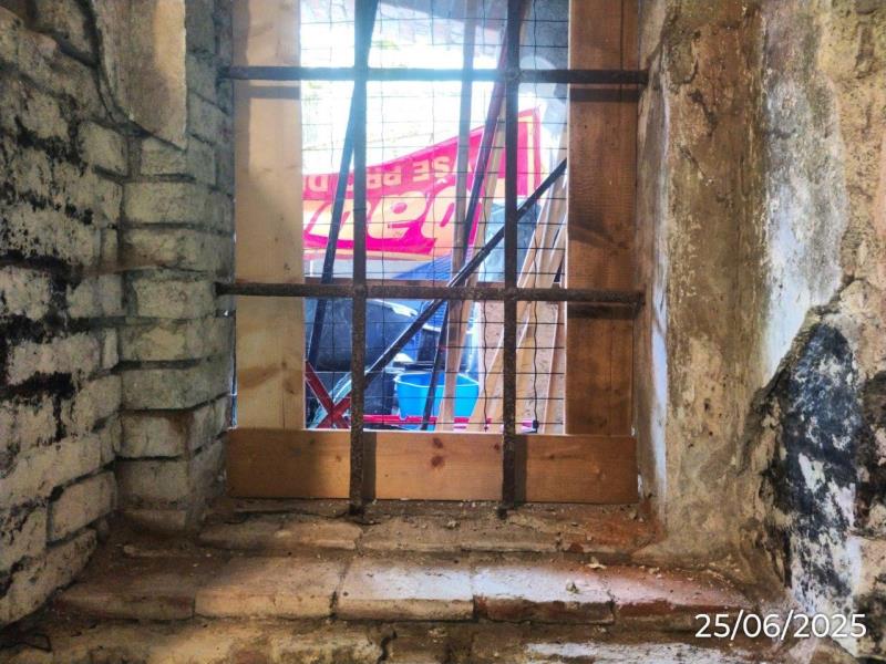 Ilustrační fotografie č. 19