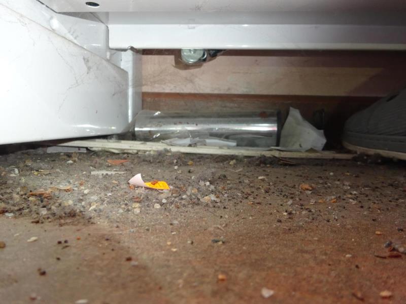 Ilustrační fotografie č. 4