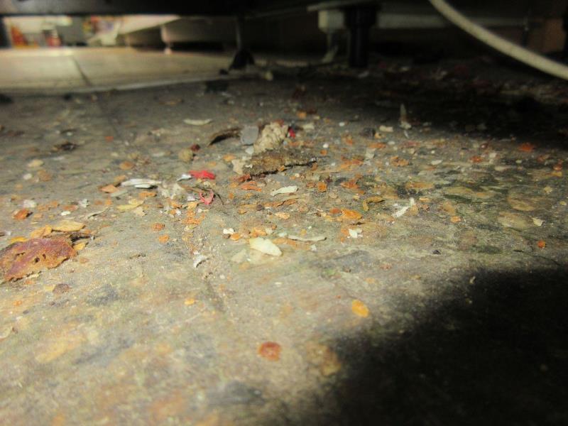 Ilustrační fotografie č. 5