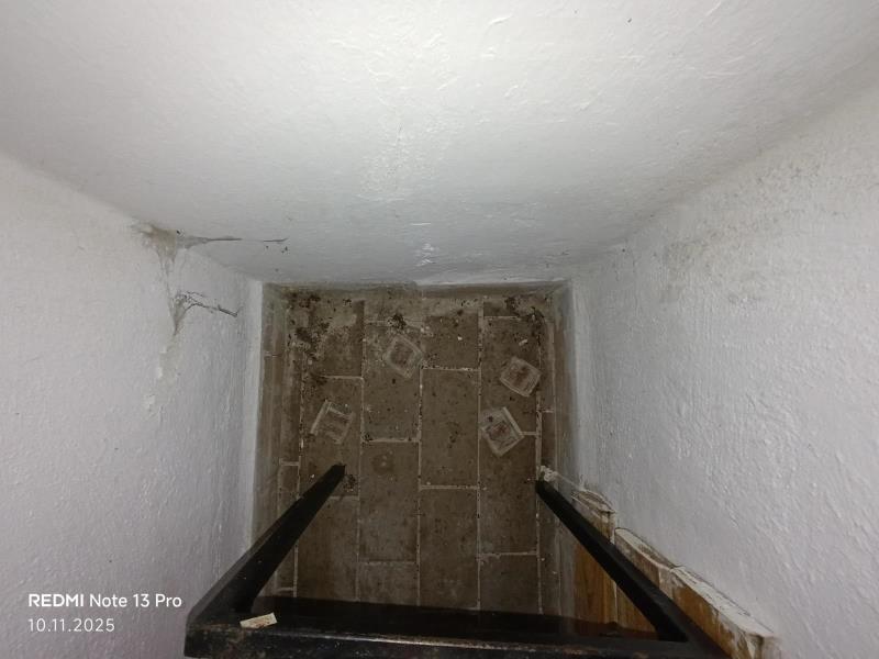 Ilustrační fotografie č. 15