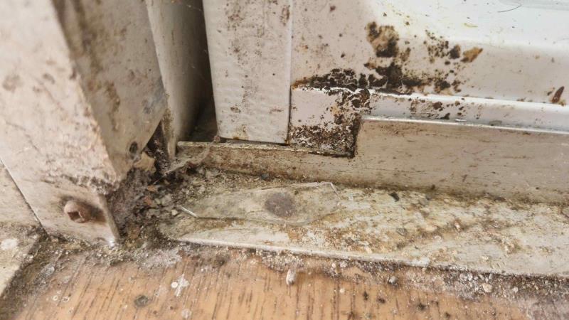 Ilustrační fotografie č. 17