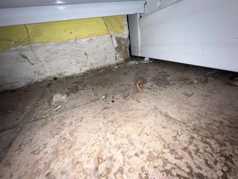 Ilustrační fotografie č. 9