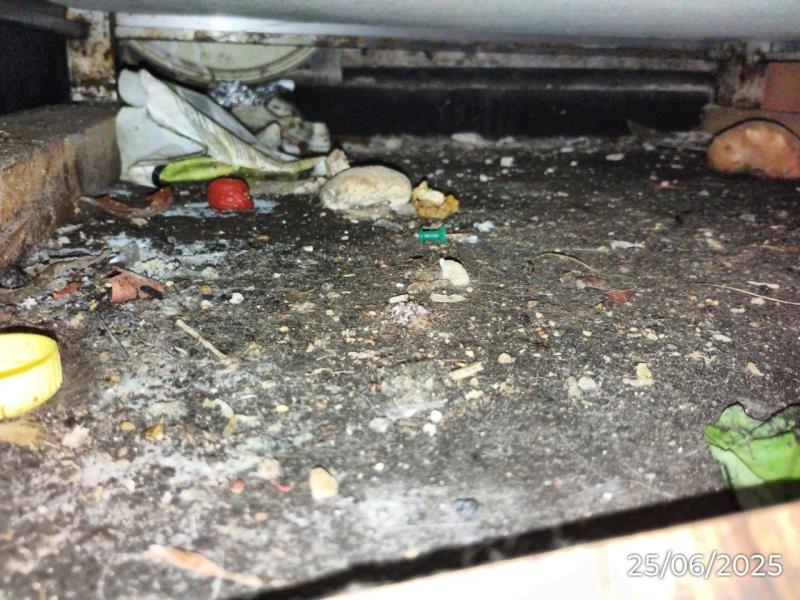 Ilustrační fotografie č. 11